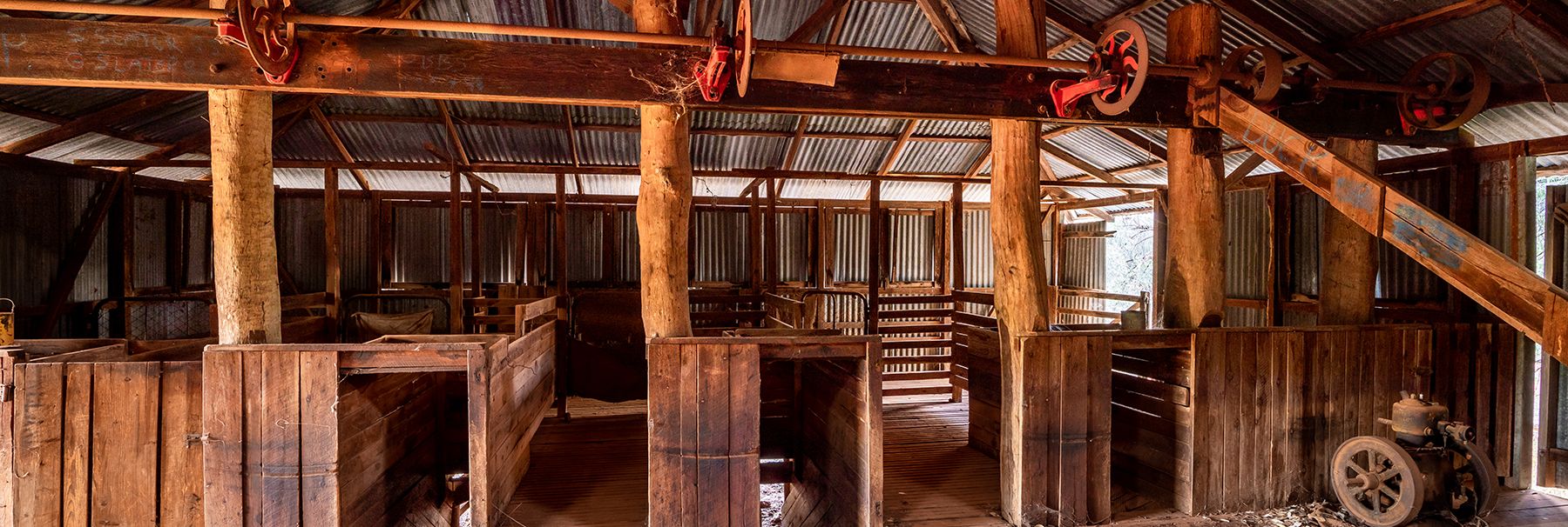 Inside a shearing shed