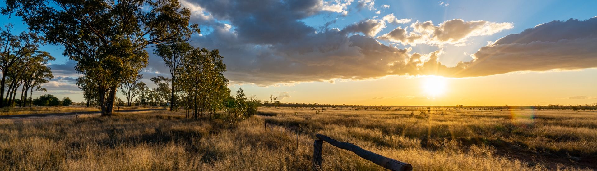 Paddock with sunset in background