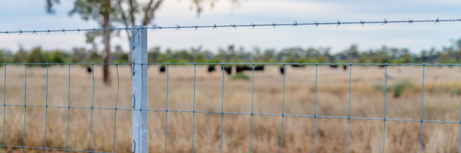 Exclusion Fence